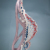 �g�p�C���[�W