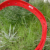 STX�@�C�N���v�X3�@�S�[���[�w�b�h�@Red