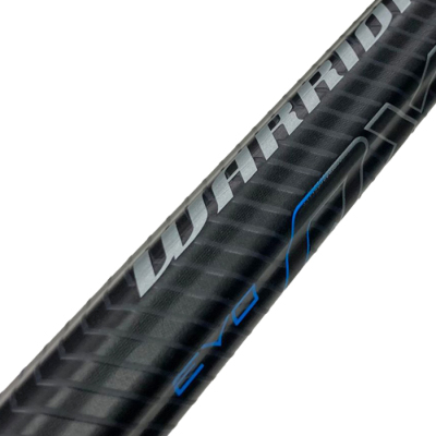 WARRIOR エボQX2 60