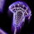 NIKE�@���K�V�[�G���[�g�@�X�e�B�b�N�@Atomic Puple