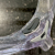 NIKE�@�v���C���G���[�g�@�S�[���[�w�b�h�@Clear