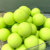 Signature Lacrosse�@�I�t�B�V�����T�C�Y ���N���X�{�[���@�n�C�p�[�C�G���[