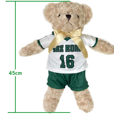 ファジアーノ岡山 ベア ぬいぐるみ ユニフォーム くま J1 限定